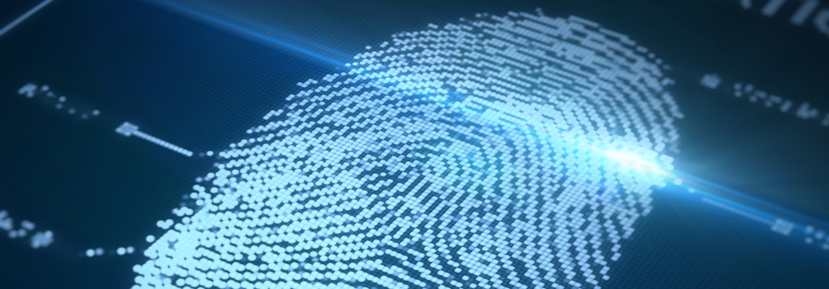 identification details